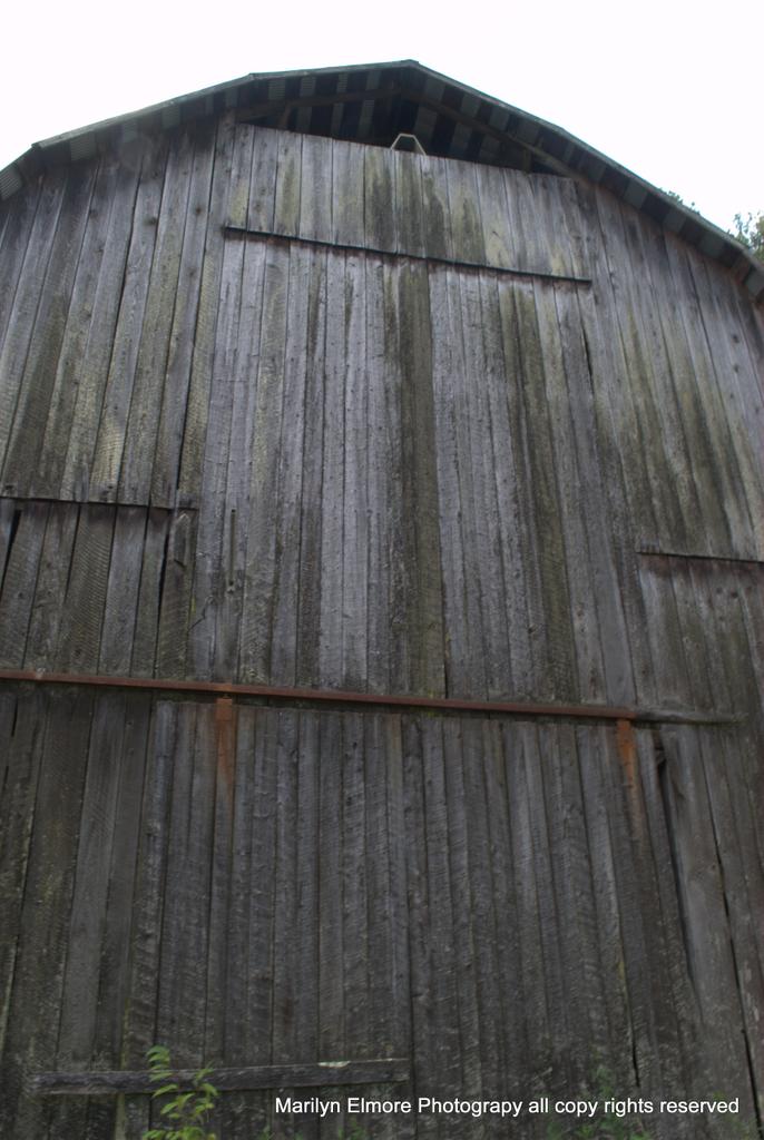 It's the textures of old barns that attract my eye
