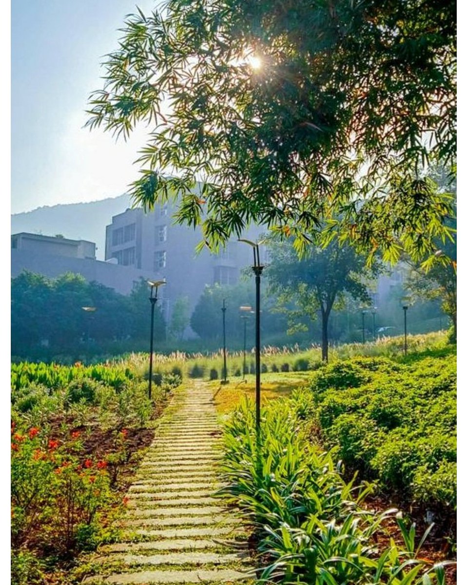 FLAMEUniversity's tweet photo. Winter mornings in the valley like these. #LifeatFLAME 

📷 @MalayVadalkar https://t.co/Rm0LOcMug2