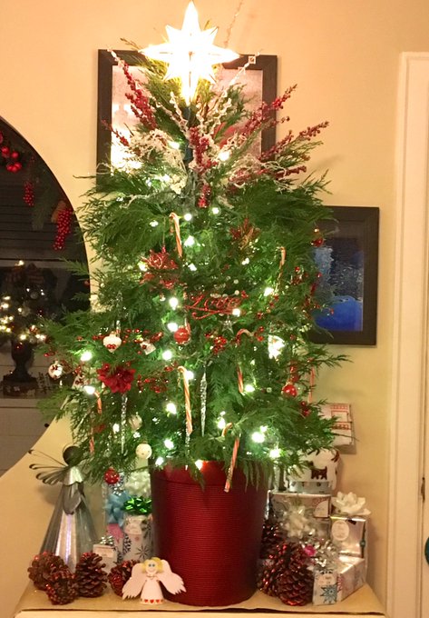 It&rsquo;s beginning to look a lot like Christmas =] #christmas #2018  #happy #lml https://t.co/3EYjAfwj8J<a href="/tag/happy"class="tags"><span>#happy</span></a><a href="/tag/christmas"class="tags"><span>#christmas</span></a><a href="/tag/lml"class="tags"><span>#lml</span></a>