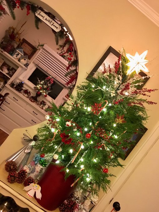 It&rsquo;s beginning to look a lot like Christmas =] #christmas #2018  #happy #lml https://t.co/3EYjAfwj8J<a href="/tag/happy"class="tags"><span>#happy</span></a><a href="/tag/christmas"class="tags"><span>#christmas</span></a><a href="/tag/lml"class="tags"><span>#lml</span></a>
