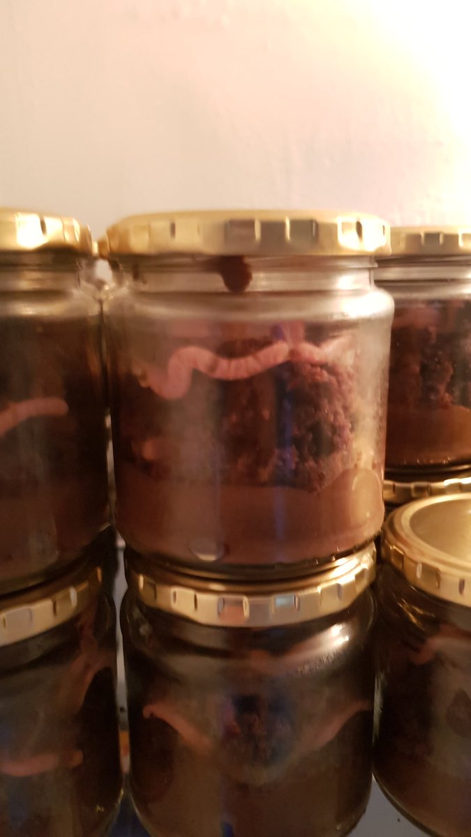 JeanMariV's tweet photo. #GoodeMorning I just had to share this! Made Fear Factor cupcakes in a jar!! @Sureshnie @DJRogerGoode @RobbieKruse https://t.co/Pex0jfRN09