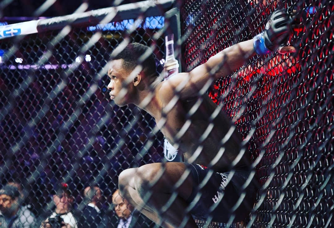 stylebender's tweet image. History at MSG 🌱
"This was like a walk in the park, no no no...this was a walk in @thegarden Madison baby!!" - Me
#realninjashit #hiddenleaf #gardenwork @JTVake