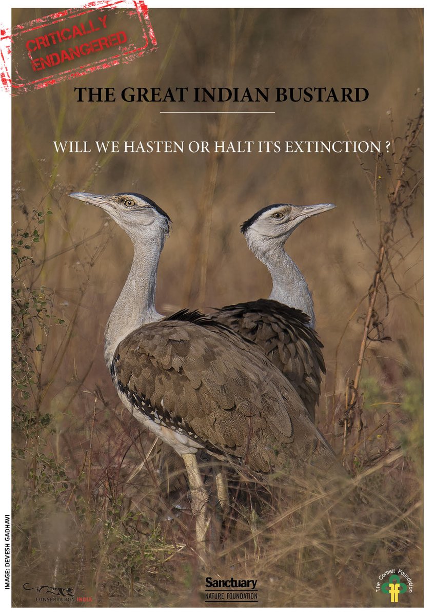 Sanctuary Asia tweet media