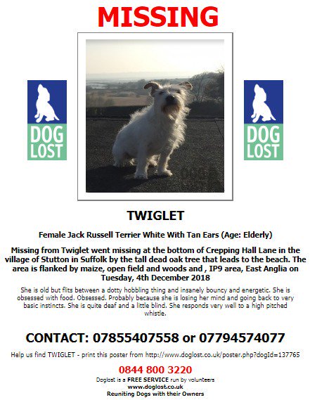 MissingPetsGB's tweet photo. Rt @MrMaxNorman : Today is T-Day, Twiglet day! We need help from anyone who can get to #Stutton, #Suffolk today. The weather is forecast to severely deteriorate today so we've been advised to search to the max. Plz join Facebook Group to help https://t.co/fjg5zbMyDT https://t.co/JtQXKpzKw2