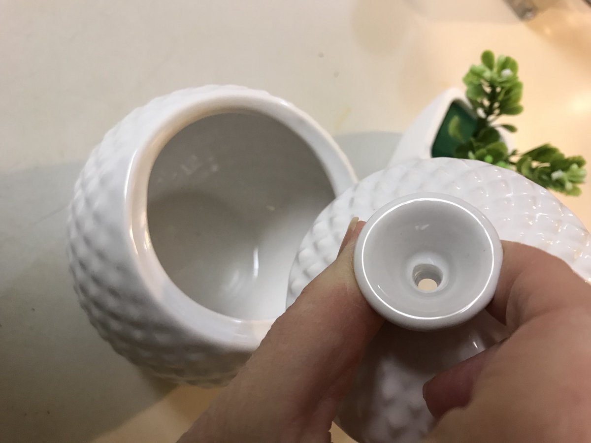 lesa_cap's tweet photo. How cute is this ceramic decorative jar that doubles as a fruit fly trap! If you’ve ever had these pests you’ll appreciate this! When they aren’t an issue you can enjoy the decor! Find on amazon https://t.co/vgfxLDNpyX #sponsored #rankboosterreview #athorbot #fruitflytrap https://t.co/obzfsBQ6uL