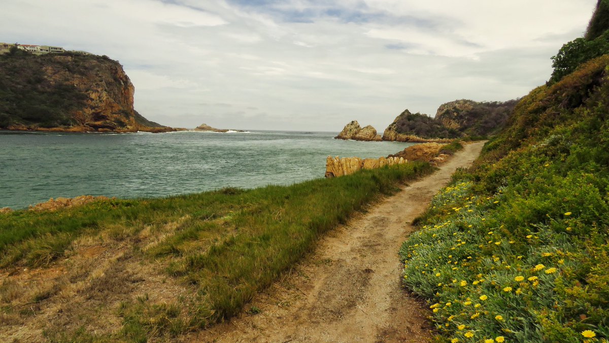 ExploreKnysna's tweet photo. The reopening of the @FeatherbedCo. It's looking absolutely beautiful.  Well done everyone and well done @martinhatchuel for assisting with the restablishing of its biodiversity and the the removal of alien plant species.  😊😊
#Knysnarises #knysna #gardenroute 
📸 @gotravelbug https://t.co/IRvBsu6V1m