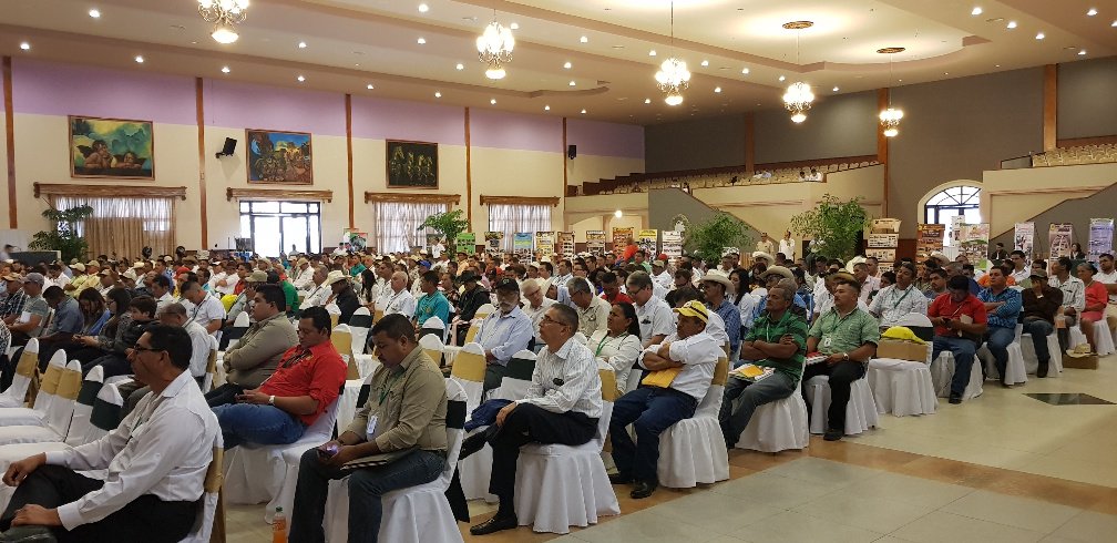 rgallozzi's tweet photo. Socializing our AHPROCAFE´s strengthening project during the 51st coffee congress, through our #sectorpartnership program we will develop advocacy and lobby capacities among the members of this producers organization in Honduras https://t.co/Wp3ZmjmaMh