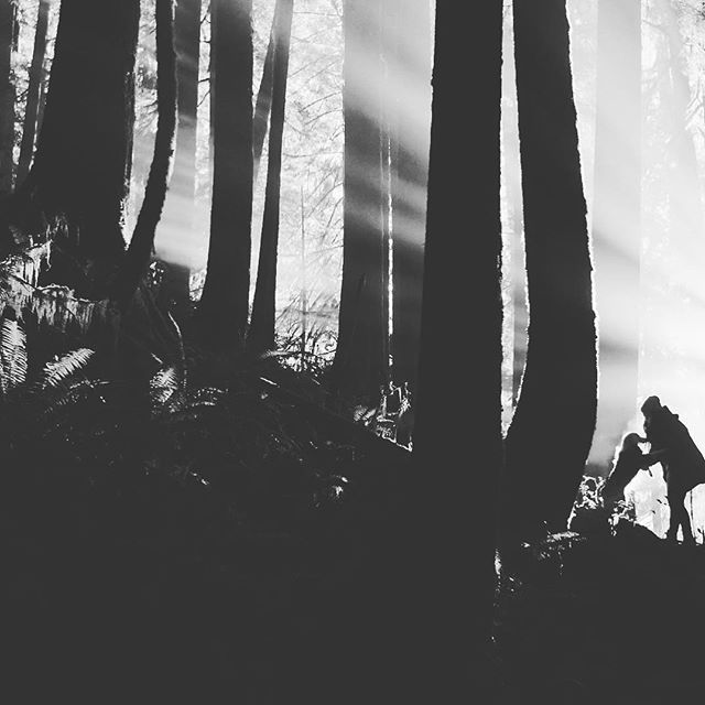 outlivecreative's tweet photo. Went scouting today for a shoot near the coast. It was surreal to come across heaven opening up behind the tree line. https://t.co/pbpuWgCzby https://t.co/rtxVZdkfUH