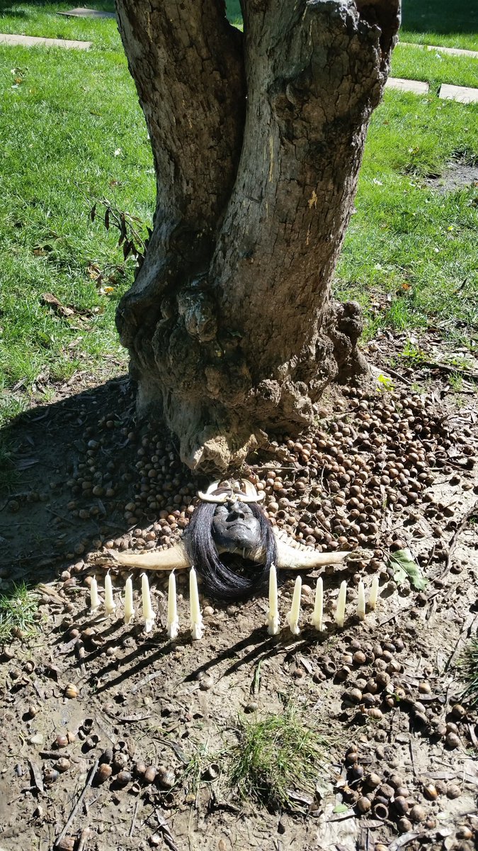 AydanHarlowArt's tweet photo. Death of Self, 2016, bone, casting wax, candle wax, horse hair.
#performancepiece #deathofself #transartist #transexperience #traditionalart #sculpture #undergradwork https://t.co/6rpp1O75yk