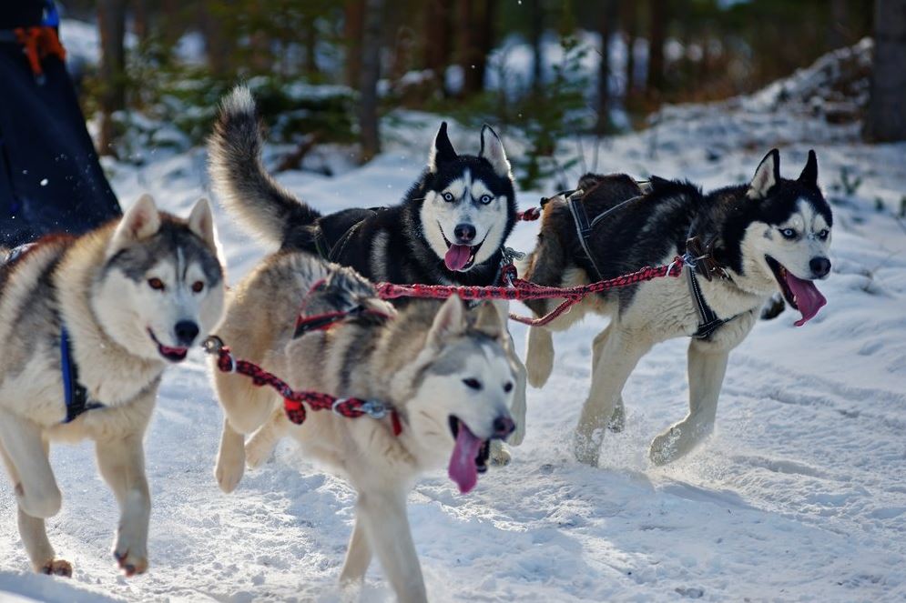 CanadianUK's tweet photo. That #FridayFeeling when you’re coming home after a long week #CanadianFun https://t.co/AjIogH9PL7