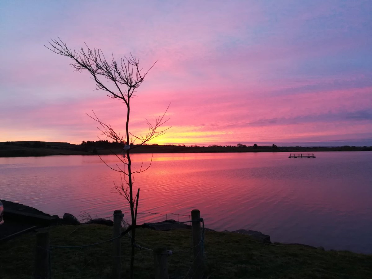 DECEMBER: days very short now as we approach the winter solstice . The  @GLEONetwork tree is bare of leaves. Here’s a beautiful sunrise caught by  @JoshkaKaufmann  @FishEcoEvo