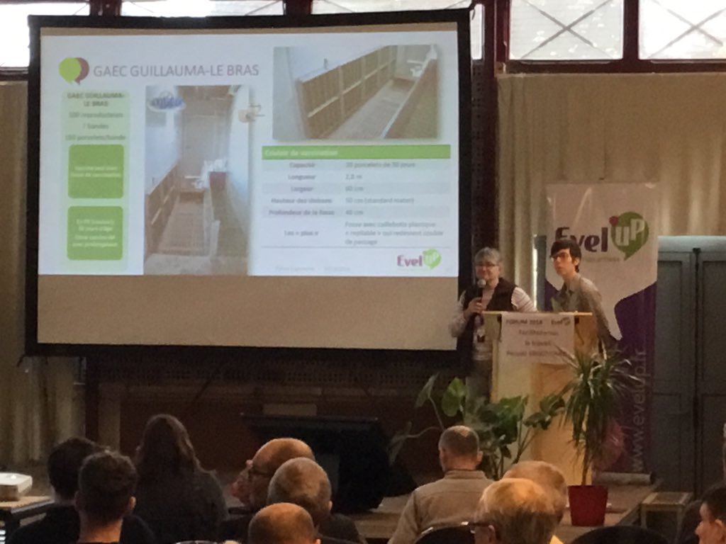 Daniele Autret, vétérinaire, conseille d’intervenir sur des porcelets en contrebas, par rapport à l’opérateur. #penibilité moindre. #ForumErgonomie <a href="/EvelUpCoop/">Evel’Up</a>