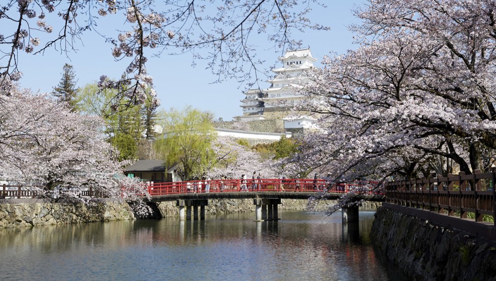 raisa6690's tweet photo. Liburan ke Jepang, tp ke Kobe seru jg kali ya. Kotanya mix, tradisional & modern ala Jepang soalnya. Katanya sih wajib bgt ke Himeji Castle, soalnya masuk UNESCO World Heritage, pasti bgs. Terbaiknya katanya kalo ke sini di akhir Maret/April. Yuk, tahun depan ke sana! #JNTOID https://t.co/O69Yud2eAb