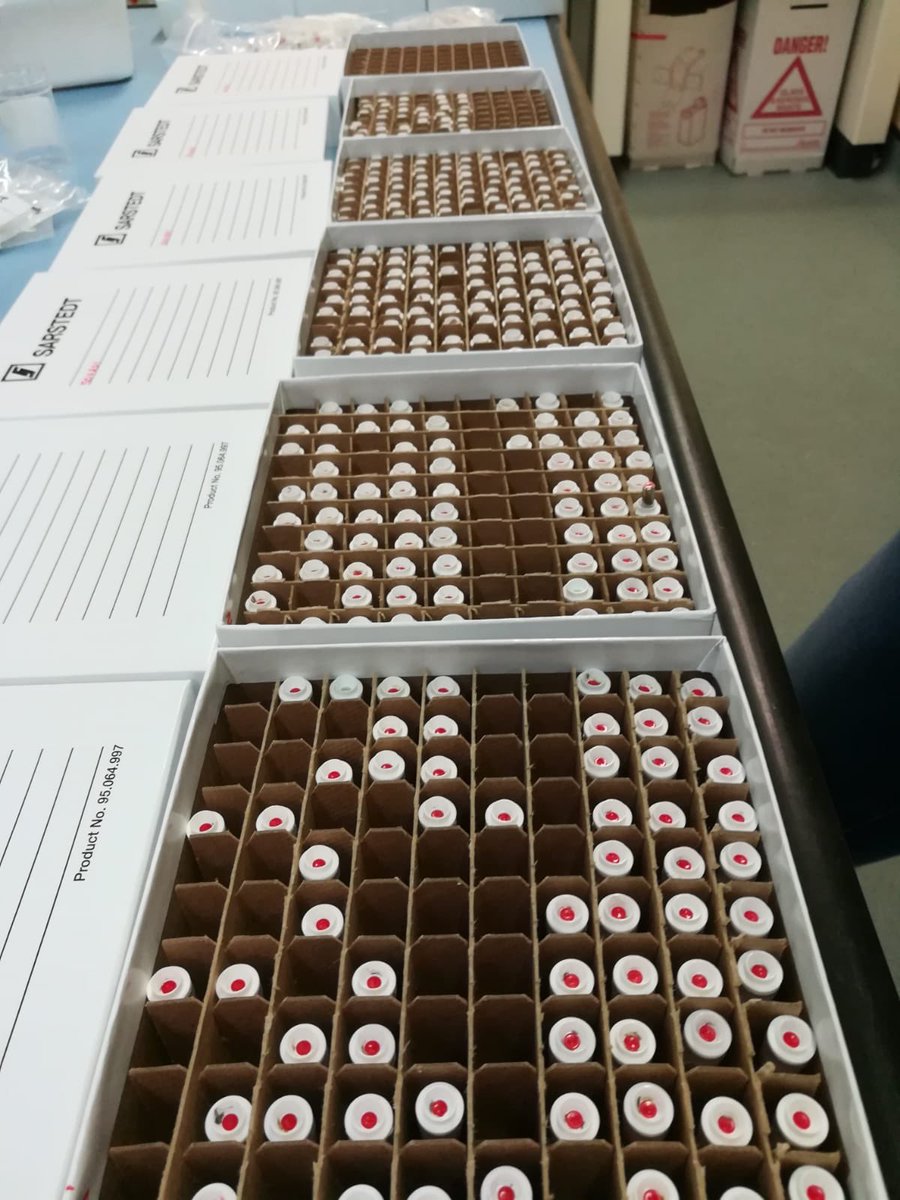 DECEMBER: samples to be sorted, each containing a sample from every fish moving through our traps  a massive pedigree reconstruction of our  #burrishooleLTER salmon population: collaboration with the  @FishConGen team  @uccBEES  @MarineInst  @FishEcoEvo