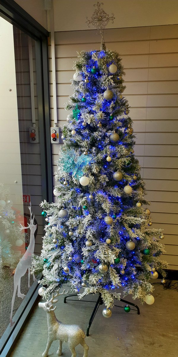 Christmas has come to Arrow 🎄💙 #christmas #tree #blue #frosty #arrowvanracks