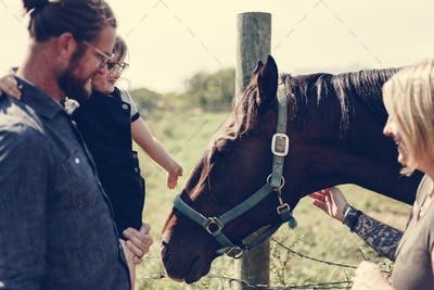 KilladanganMayo's tweet photo. @IrelandBlueBook Become Lord and Lady of the Manor for a weekend or a week - rent #killadanganhouse for the most luxurious self catering holiday imaginable.  #Westport awaits.   Or use your #BlueBookVoucher to try our newest offering #equineassistedlearning on site with our glorious horses. https://t.co/98Pw00dQpQ