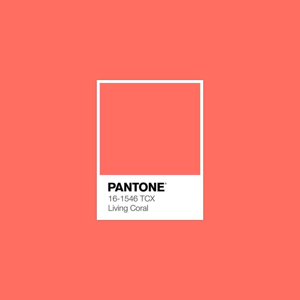 RΛMIN NΛSIBOV (@RaminNasibov) on Twitter photo 07/12/2018 11:49:10 Pantone's Color of the Year for 2019 is Living Coral. Pantone's Color of the Year for 2019 is Living Coral.