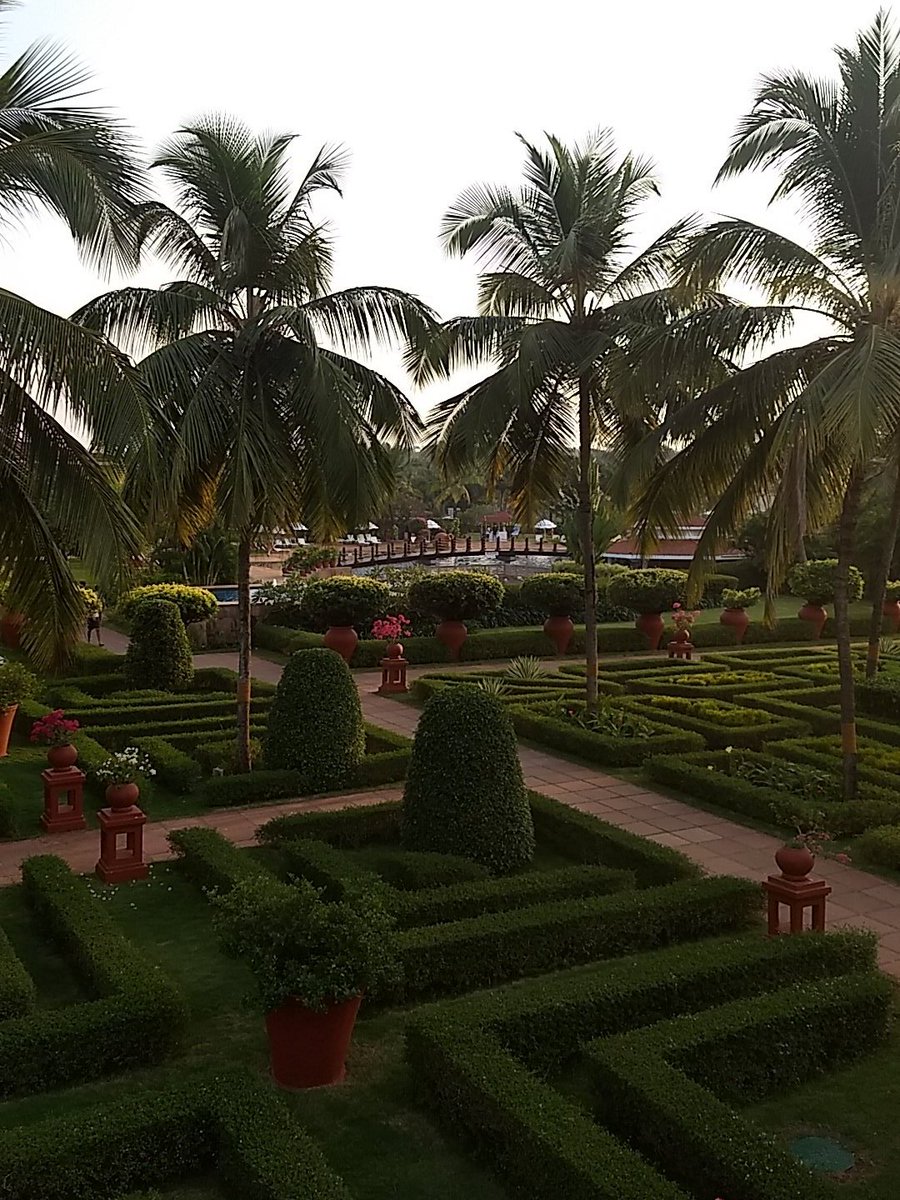 RohitvNiranjan's tweet photo. The #SprinklrVacay weekend at #Goa #OneSprinklr https://t.co/6ogn1d5TCF