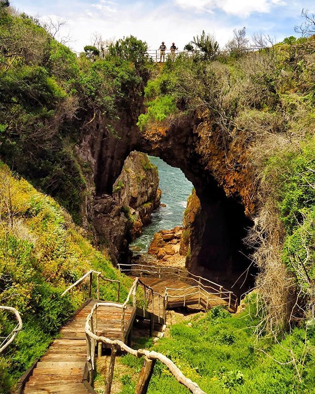 gotravelbug's tweet photo. The reopening of the @featherbed_co It's looking absolutely beautiful. Well done everyone and well done @martinhatchuel for assisting with the restablishing of its biodiversity and the the removal of alien plant species. 😊😊
#Knysnarises #knysna #gar… https://t.co/yN7Qqiho27 https://t.co/jHUEUB5JWI