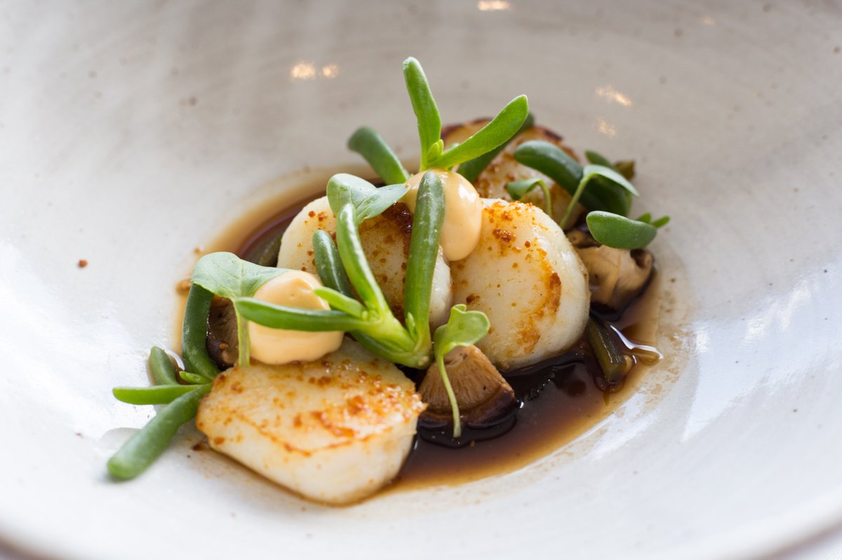 hillofgracerest's tweet photo. Entrée is served...these mouthwatering pan seared scallops are combined with shitake, enoki, kombu, karkalla, sea urchin cream and master stock. Delicious! #HillofGraceRestaurant https://t.co/5nYWR4D5aw