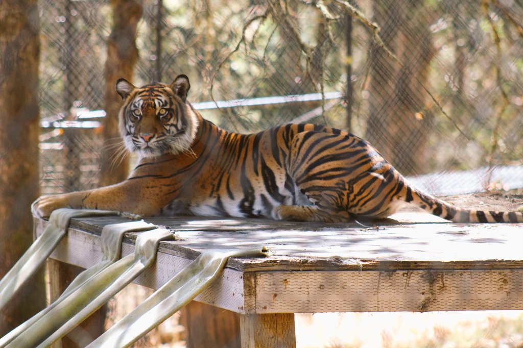 After a long term, I'm excited to take a couple trips over break and get the camera back in my hands. Check out some of my old trips and follow me along on new ones ---> instagram.com/weberstravels?…