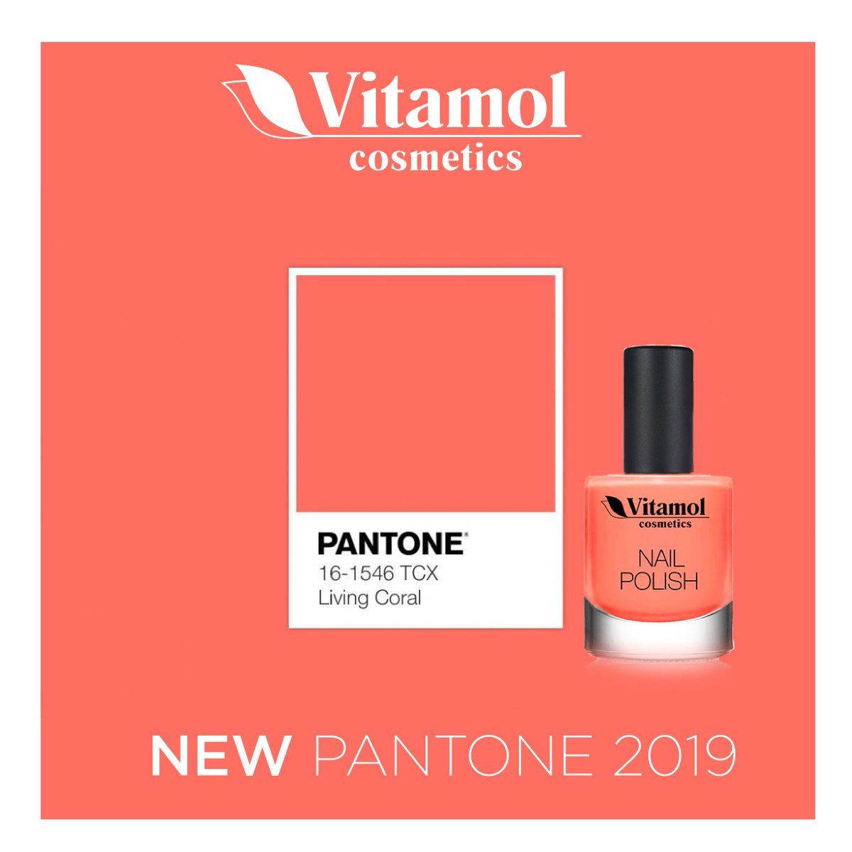 Vitamol_'s tweet photo. NEW @pantone 2019, TRY VITAMOL COSMETICS #NAIL POLISH 5 BIG FREE https://t.co/oxiiTZWZZt