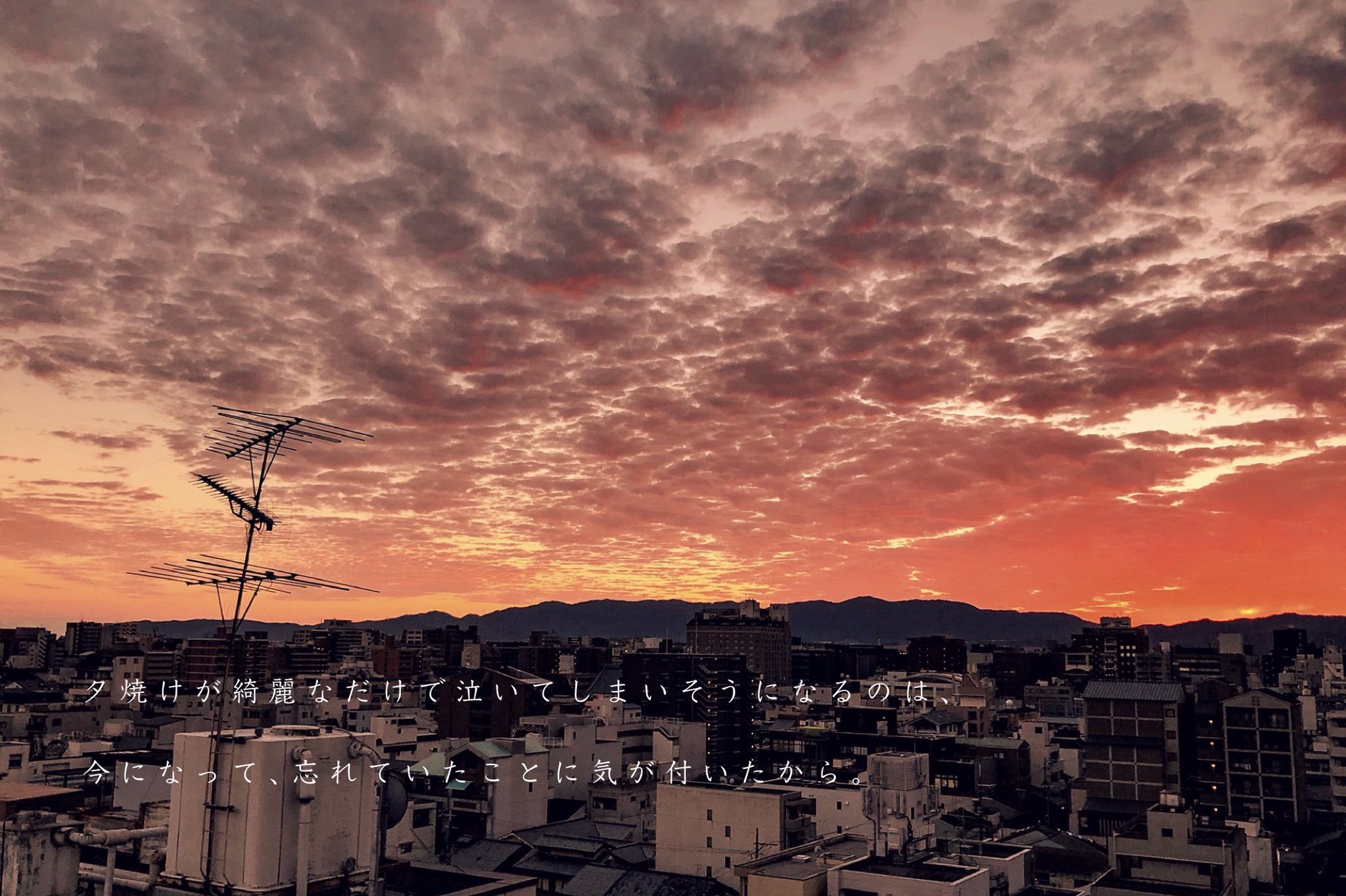 تويتر Tokumei Kibou على تويتر 死にたくなるほど綺麗だった Photo By Tumu T Co Omcxbpocgd