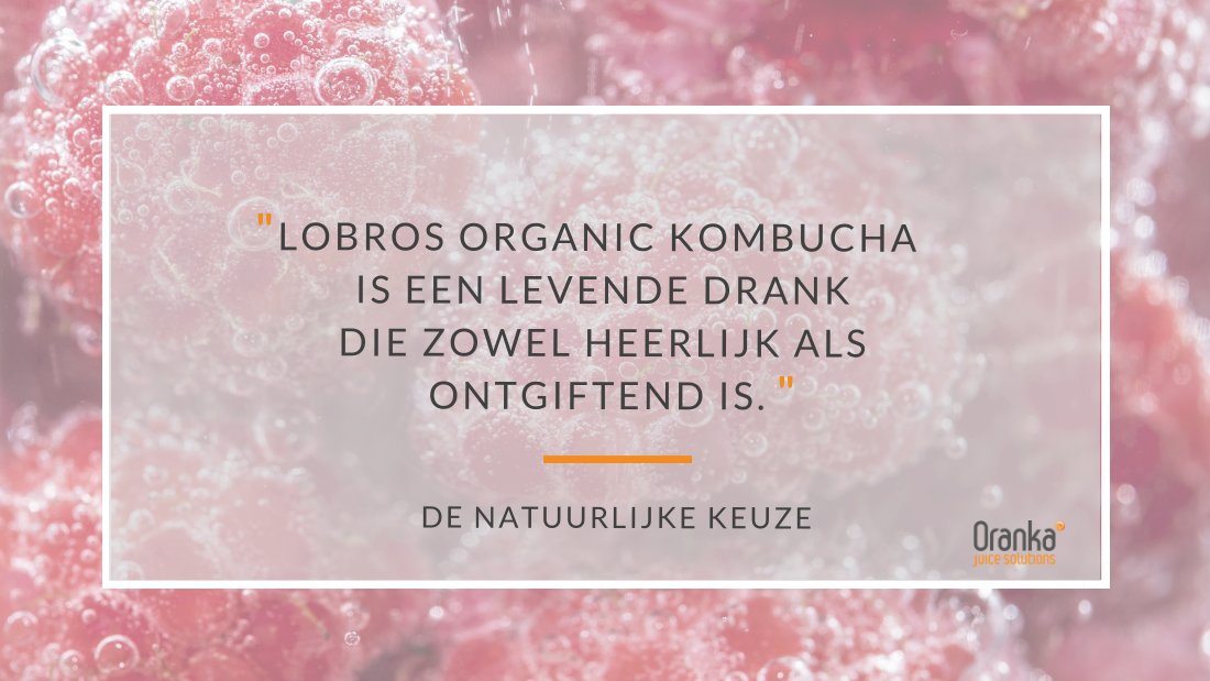 QUOTE: Lobros Organic Kombucha is een levende drank die zowel heerlijk als ontgiftend is. Het stimuleert het immuunsysteem en bevordert de gezondheid van de darmen. bit.ly/2va8LNr #biologisch #frisdrank #gezond