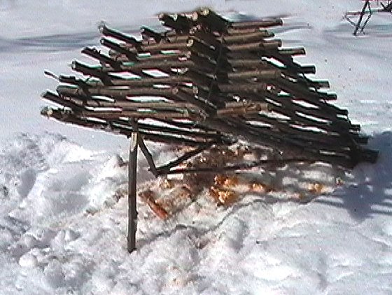 How to Building and setting an arapuca live bird trap « Survival Training  :: WonderHowTo