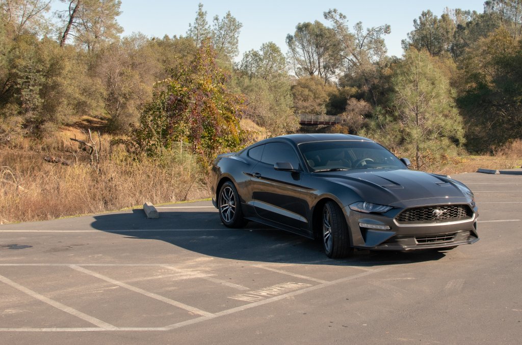 SpeedTrapBlog's tweet photo. 2018 Mustang EcoBoost Zero-Option Base Model: What Are the Plans? Come check it out! #basetobeast #EcoBoost #Mustang #Ford #Turbo #RWD #Lookingforwardtoit https://t.co/9q76w5SHYG https://t.co/qbtjCLe1Ei
