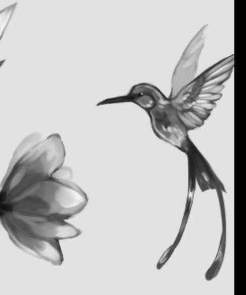 ハチドリのtwitterイラスト検索結果 古い順 ハチドリのtwitterイラスト検索結果 古い順