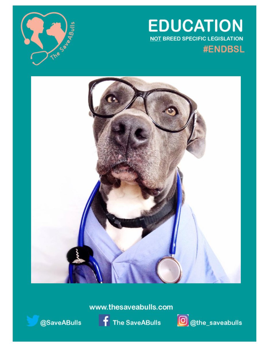 TheSaveABulls tweet media