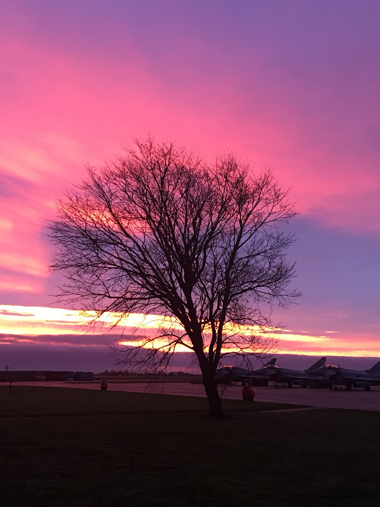 jonhooperuk's tweet photo. Same tree, different morning. https://t.co/3GZGDFhL7F