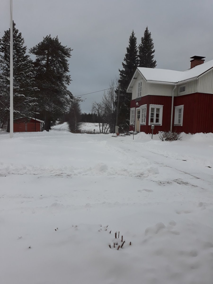 ArolanE's tweet photo. Tuleehan se valkoinen joulu! Huomasinkin että tässä joulukuussa on vielä paljon vapaita päiviä majoituskalenterissa. Mökillä ja Arovillassa ja pirtissä. Jos joulun seutu Hossan kansallispuiston lähellä houkuttaa niin kysäsehän! #wildtaiga Info@arolabear.fi https://t.co/XjB7tsQA0e