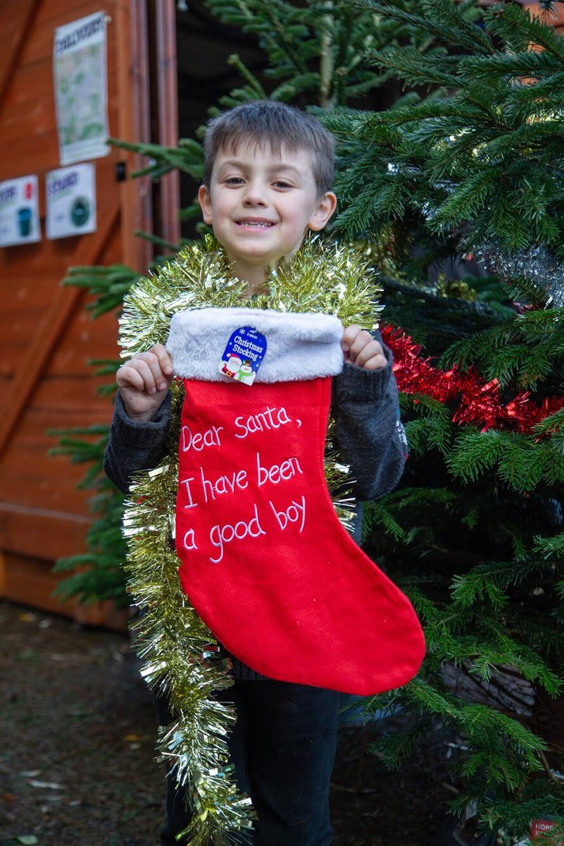 LDScouts's tweet photo. It’s nearly the #weekend which means the @3rdBookhamSG #Christmas tree sale @bookhamtrees returns from 10-3 this Sat and Sun! 
With help from Beavers, Cubs, Scouts and Explorers, you can choose your perfect #ChristmasTree with the family! @surreyscouts @livingkt22 @BookhamVillage https://t.co/60P3UBGWSO