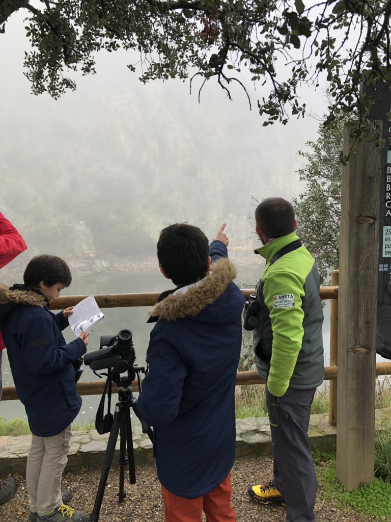 MyFamPassport's tweet photo. Viendo buitres, cormoranes y garzas con @Mtreasures A pesar de la niebla los hemos visto e identificado. No hay nada como ir con un experto! #monfraguewithkids #monfrague @Turismo_DipCC @monfrague_ https://t.co/E7CkTgTbqg