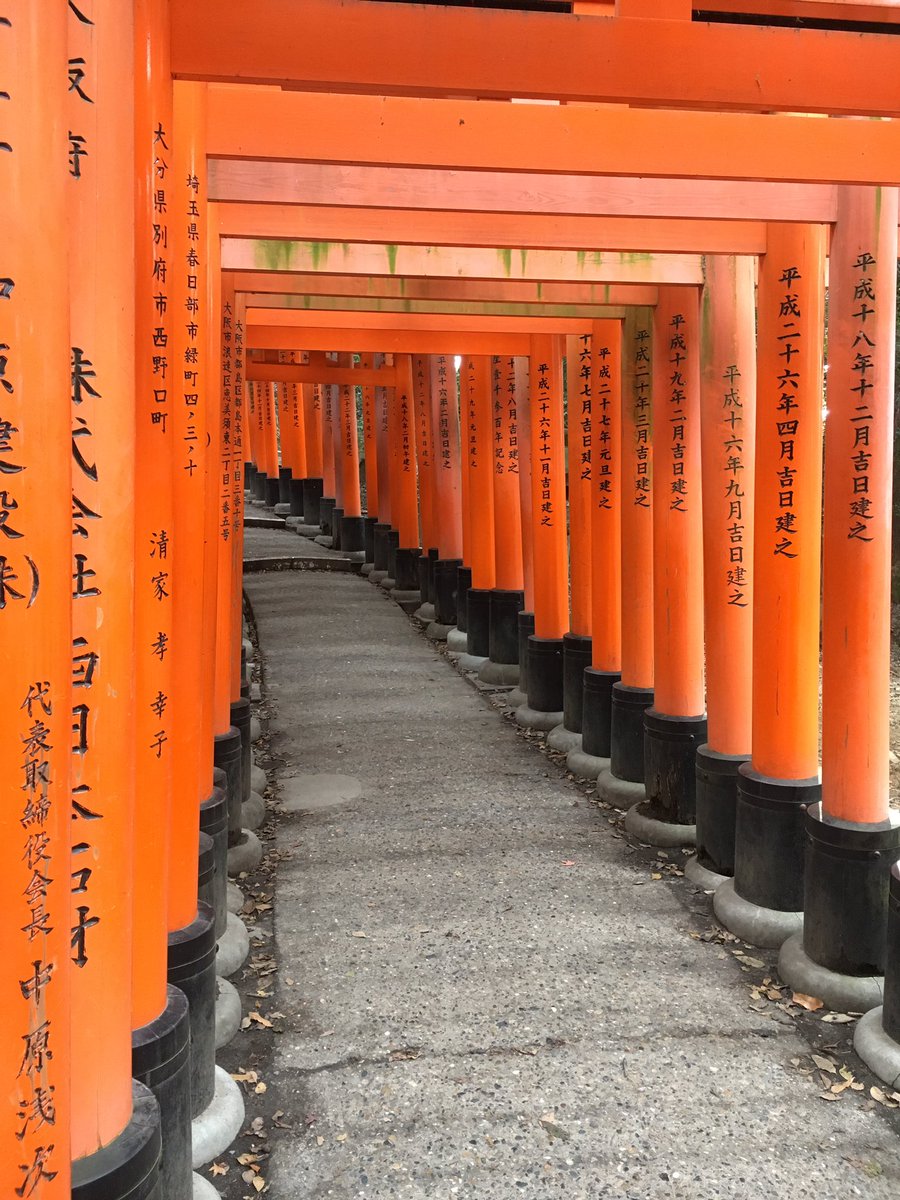 ProPepChem's tweet photo. It’s a wrap! Thanks to the organisers for a spectacular few days in Kyoto for the #IPS2018 Great to see such inspiring protein and peptide chemistry in such a beautiful location #propepchem #kyoto https://t.co/l0CaneANOY