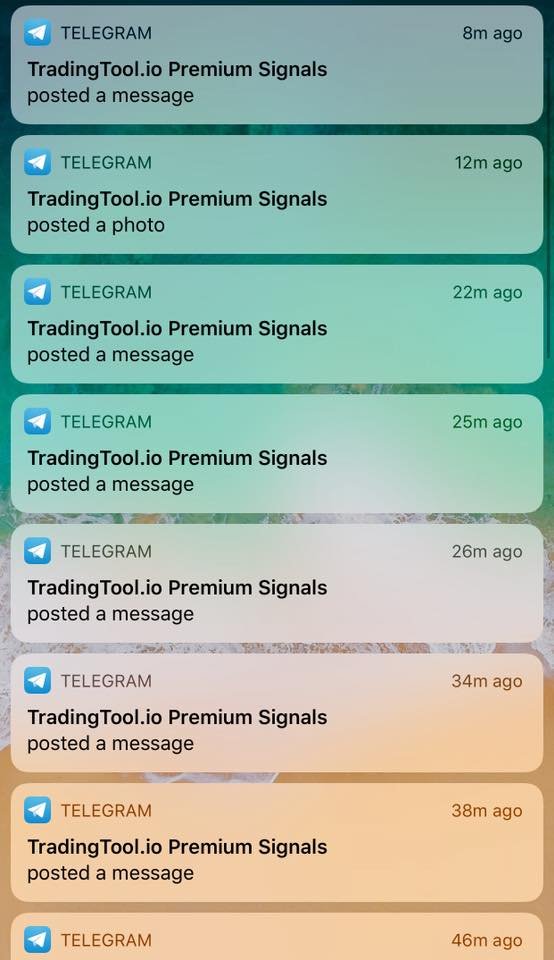 LeeJonAnhh's tweet photo. FREE BITTREX/ BINANCE SIGNALS

- More 300 coins &amp; tokens leader.
- Auto trading signals from over 700++ pairs.
- 24/ 7 everyday, everywhere ⚡️
💥 CONNECT &amp; FREE TRIAL NOW 👇👇👇
Website: https://t.co/Wu279E871i
Community Group: https://t.co/th7b5G7xJd
#TradingTool https://t.co/8F0wE3Z1z9