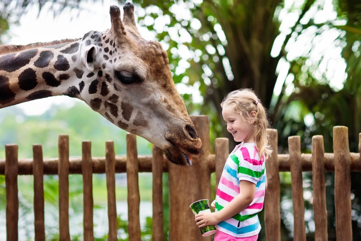 Are you making plans for winter break? Check out <a href="/TheAustinZoo/">Turpen Studdard</a>, located less than 5 miles from our community! bit.ly/2ArdoFD