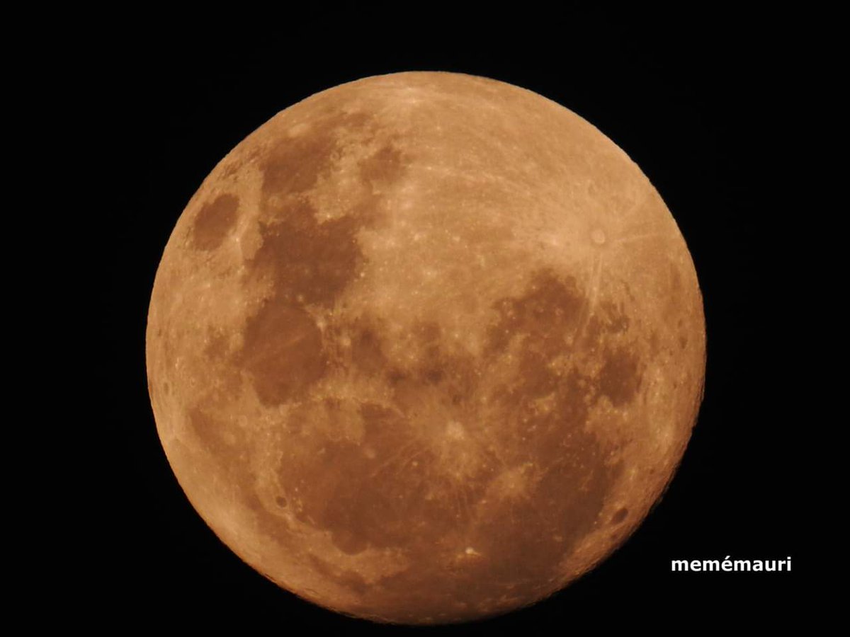 PuntadelEsteS's tweet photo. ¿Qué mejor manera de recibir el VERANO en #PuntadelEste que con esta luna llena?🌙💫
Concordarán con nosotros que aquí se la ve más LINDA que en otros lugares ... sin entrar en competencia ...
Imagen de HACE INSTANTES de @mememauri1 con más fotos hermosas de este flamante estío. https://t.co/MH82LkolRE