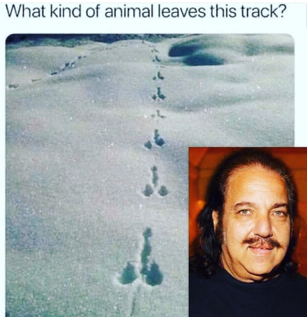 Bwaaaaaah https://t.co/rTMkKV8JOu