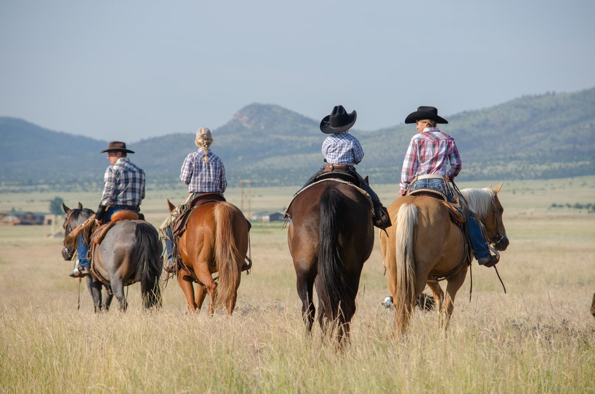 NationalBQA's tweet photo. The 2017 Cattlemen's Stewardship Review found that 78% of farmers and ranchers intend to pass their operation on to future generations. How long has your operation been in your family? #DYK #BeefFact https://t.co/L93sUjTshJ