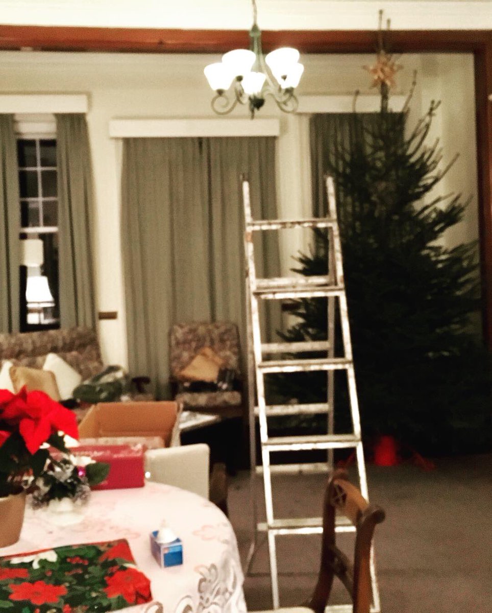 DomSrStJoseph's tweet image. It’s beginning to smell a lot like Christmas! Pine trees everywhere! 

Here’s a couple of photos of two of our three trees... and a photo of the surprise which awaited us in the chapel yesterday morning. 😅 🤣

#Christmas #Advent #Advent2018 #OChristmasTree