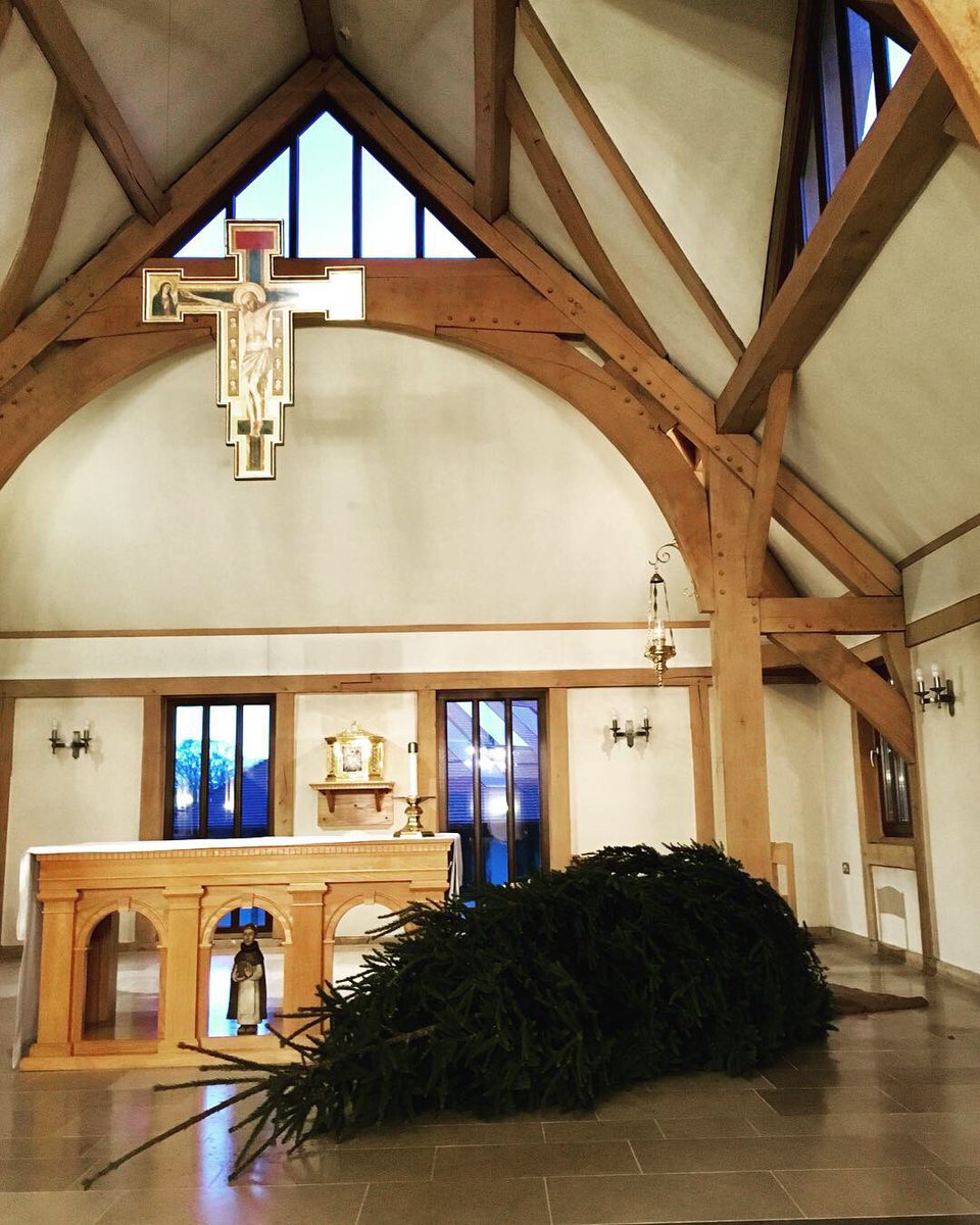 DomSrStJoseph's tweet image. It’s beginning to smell a lot like Christmas! Pine trees everywhere! 

Here’s a couple of photos of two of our three trees... and a photo of the surprise which awaited us in the chapel yesterday morning. 😅 🤣

#Christmas #Advent #Advent2018 #OChristmasTree