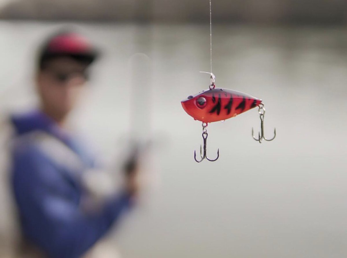 LuckyTackleBox's tweet photo. TGIF ๐คฉ Get your @LuckyTackleBox gear for 2019 and kick off the new year with a splash โผ๏ธ๐ฆ
โโ> https://t.co/A7Ztvd2QM5
#LuckyTackleBox๐ฃ #TeamLTB https://t.co/pimsFChAeL