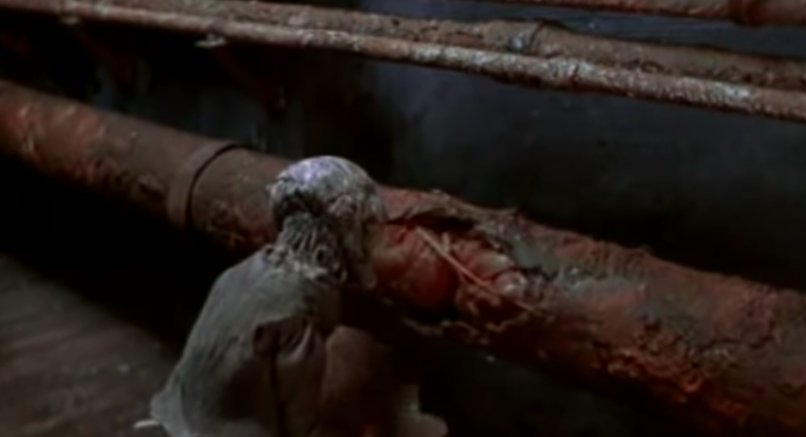 SeanKeeleyIsMe's tweet photo. Now I'm watching Tool videos and realizing how much I needed a #pipemeat fix. https://t.co/gnlhSzGICX