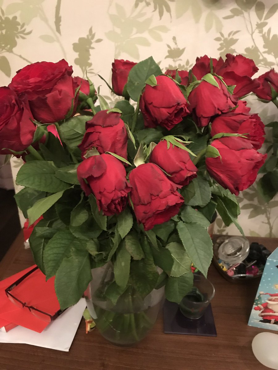 KellsBelles2's tweet photo. @InterfloraUK So sad my beautiful 36 red roses 🌹 that I received yesterday are already looking very sorry for themselves. Don’t think they will last much longer, such a shame and not value for money at all ☹️ https://t.co/vTS1XqejbK