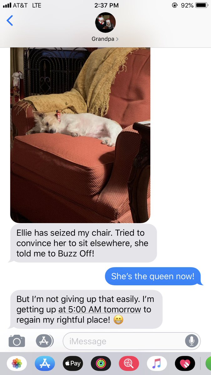 shelbsptv's tweet photo. *asks granddad to watch the dog* https://t.co/gLdKC79BW1