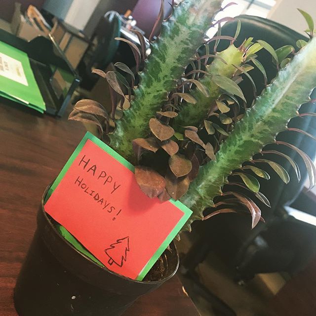 Real Food Farm on Twitter "We’re taking a break to celebrate the