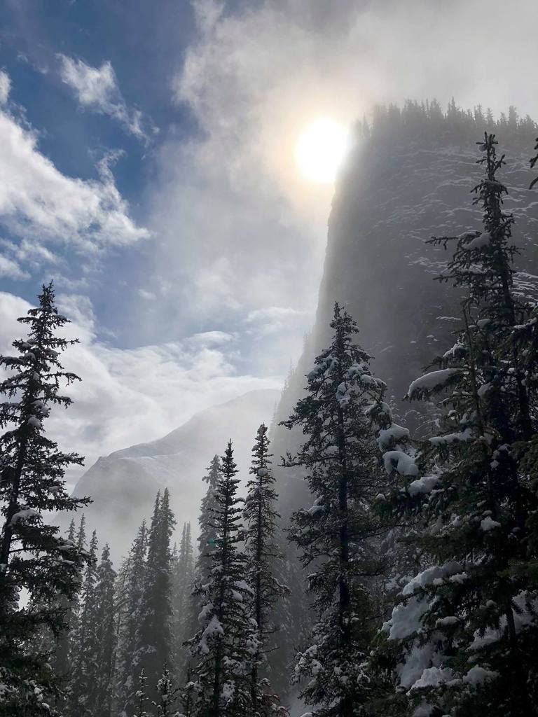 #Earth Mirror lake in the canadian rockies [3042×4032]